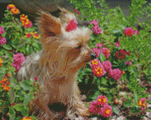 Yorkshire Terrier And Pink Flowers Diamond Painting