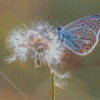 Dandelion Butterflies Diamond Painting