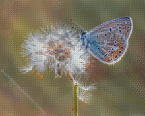 Dandelion Butterflies Diamond Painting