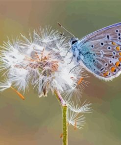 Dandelion Butterflies Diamond Painting