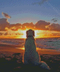 Dog In The Beach Sunset Diamond Painting