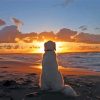 Dog In The Beach Sunset Diamond Painting