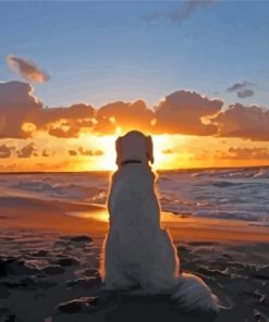 Dog In The Beach Sunset Diamond Painting