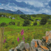 Donegal Diamond Painting