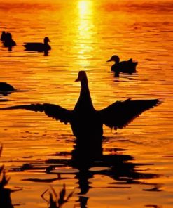 Duck Sunset Diamond Painting