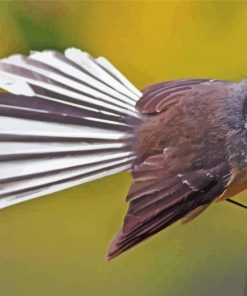 Fantail Bird Diamond Painting