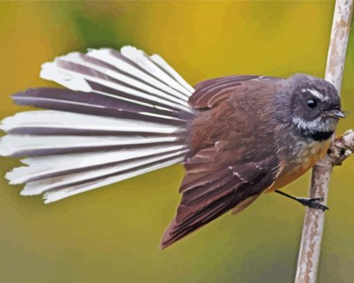 Fantail Bird Diamond Painting