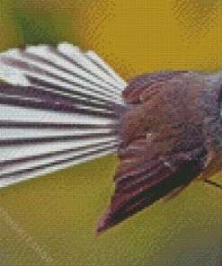 Fantail Bird Diamond Painting