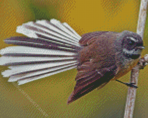 Fantail Bird Diamond Painting