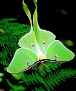 Green Luna Moth Butterfly Diamond Painting