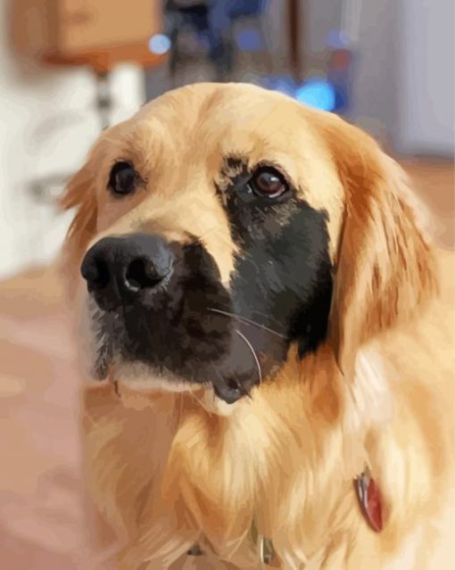 Half Beige Half Black Golden Retriever Diamond Painting