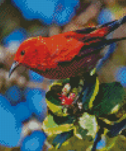 Hawaiian Honeycreeper Diamond Painting