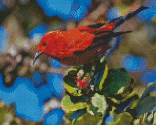 Hawaiian Honeycreeper Diamond Painting