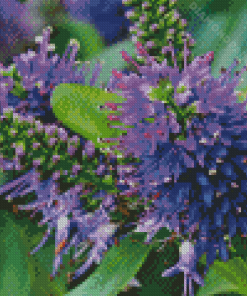 Hebe Plants Diamond Painting