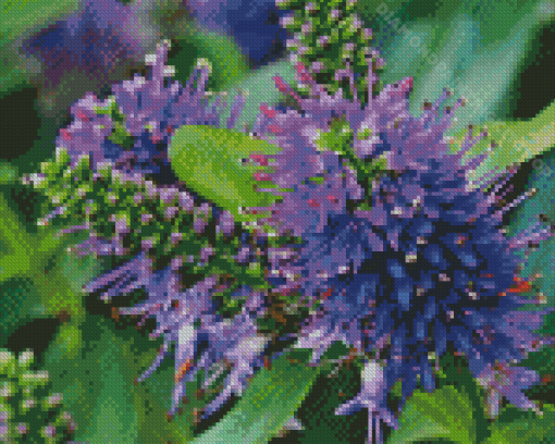 Hebe Plants Diamond Painting