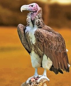 Himalayan Vulture Bird Animal Diamond Painting