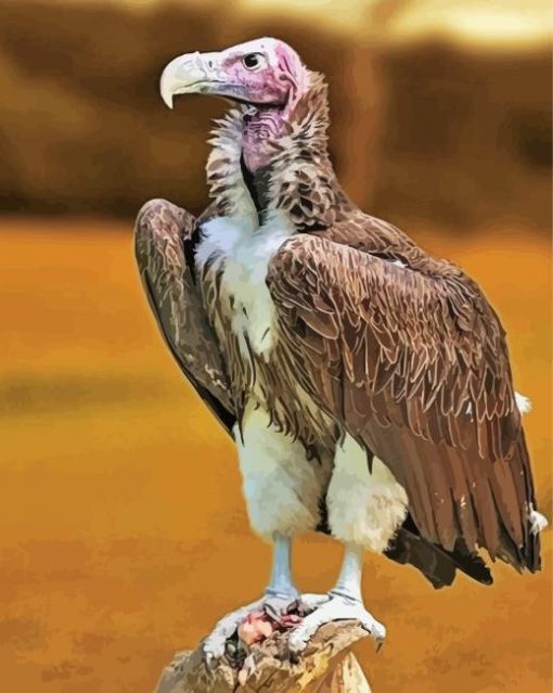 Himalayan Vulture Bird Animal Diamond Painting