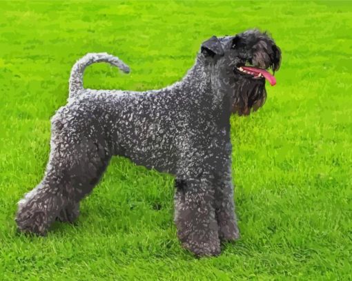 Kerry Blue Terrier Dog Diamond Painting