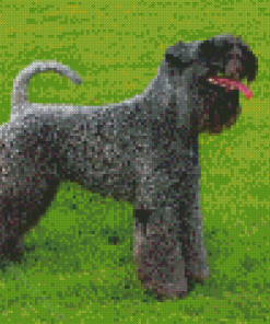 Kerry Blue Terrier Dog Diamond Painting