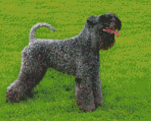 Kerry Blue Terrier Dog Diamond Painting