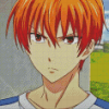 Kyo Sohma Diamond Painting