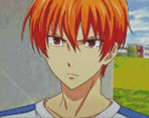 Kyo Sohma Diamond Painting