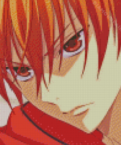 Kyo Sohma Fruits Basket Diamond Painting