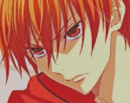 Kyo Sohma Fruits Basket Diamond Painting