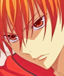 Kyo Sohma Fruits Basket Diamond Painting