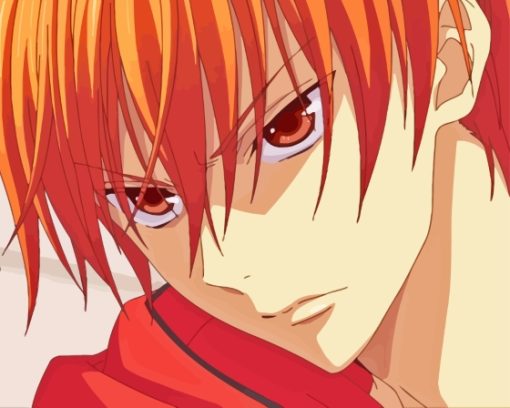 Kyo Sohma Fruits Basket Diamond Painting