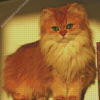 Lovely Fluffy Blonde Cat Diamond Painting