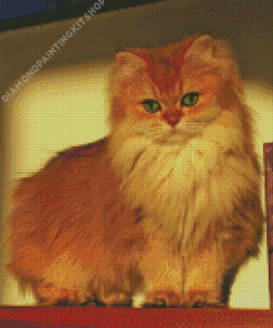 Lovely Fluffy Blonde Cat Diamond Painting