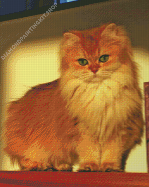 Lovely Fluffy Blonde Cat Diamond Painting