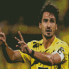 Mats Hummels Diamond Painting