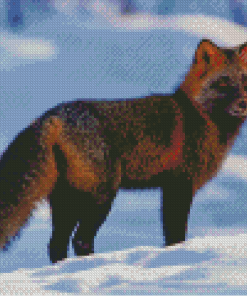 Melanistic Fox In Snow Diamond Painting