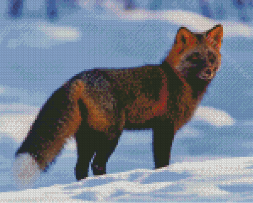 Melanistic Fox In Snow Diamond Painting