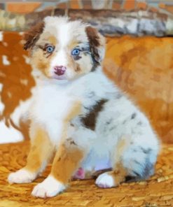 Miniature American Shepherd Diamond Painting