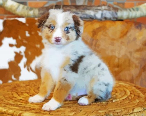 Miniature American Shepherd Diamond Painting