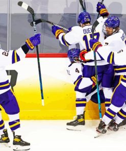 Minnesota State Hockey Team Diamond Painting