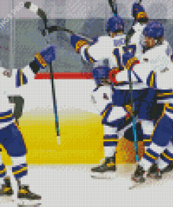 Minnesota State Hockey Team Diamond Painting