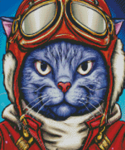 Mr Pilot Cat Diamond Painting