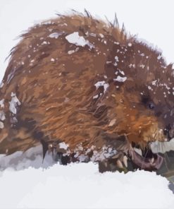 Muskrat In Snow Diamond Painting