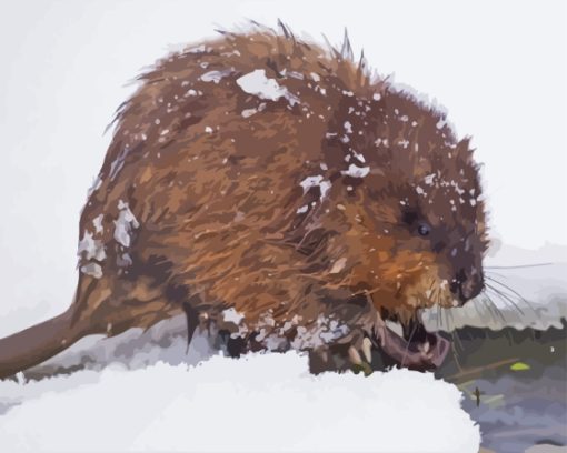 Muskrat In Snow Diamond Painting