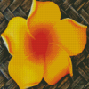 Orange Plumeria Blooming Diamond Painting