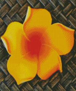 Orange Plumeria Blooming Diamond Painting