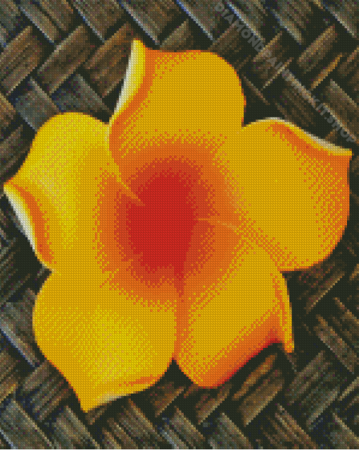 Orange Plumeria Blooming Diamond Painting