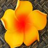 Orange Plumeria Blooming Diamond Painting