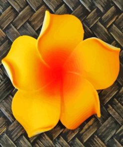 Orange Plumeria Blooming Diamond Painting