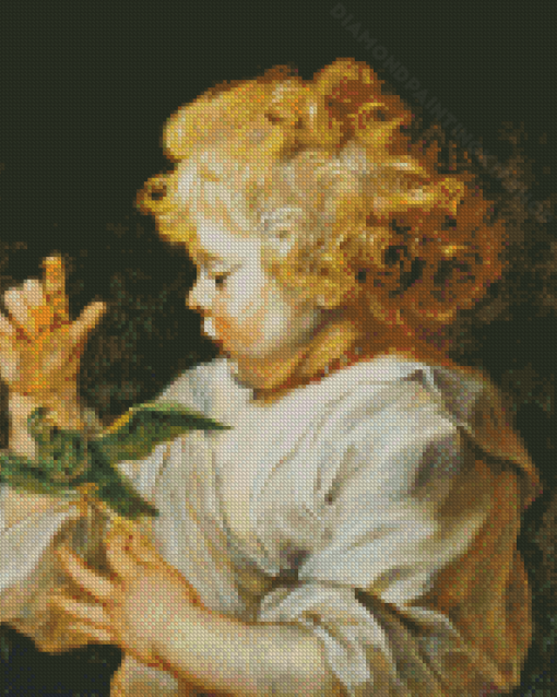 Peter Paul Rubens Boy With Bird Diamond Painting