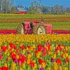 Pink Tractor In Tulips Meadow Diamond Painting